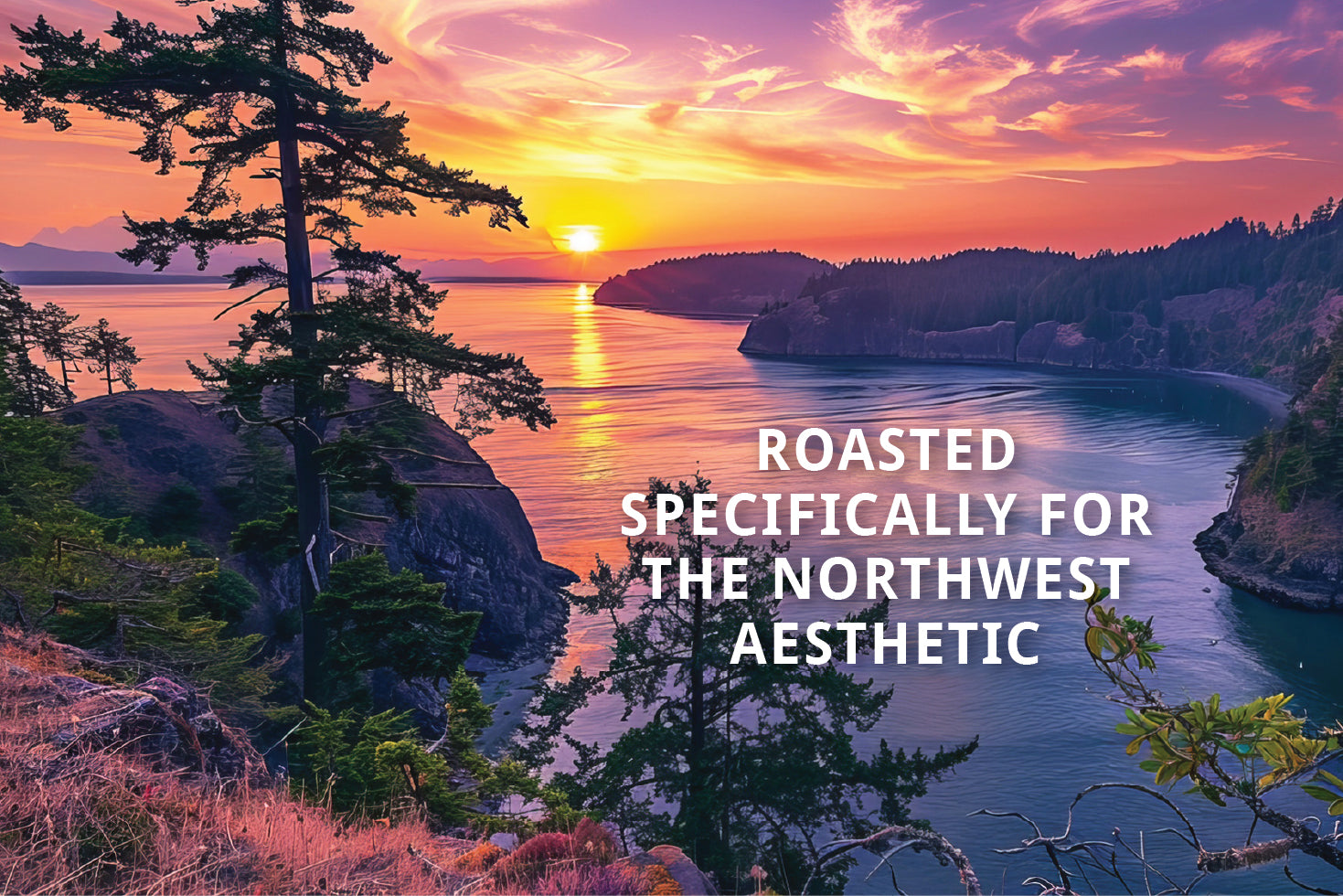 Island Time  Coffee Northwest Aesthetic