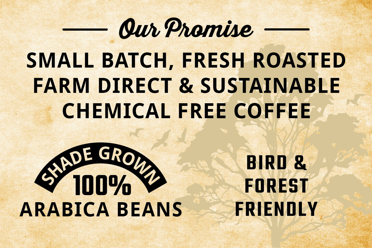 Island Time Coffee Promise