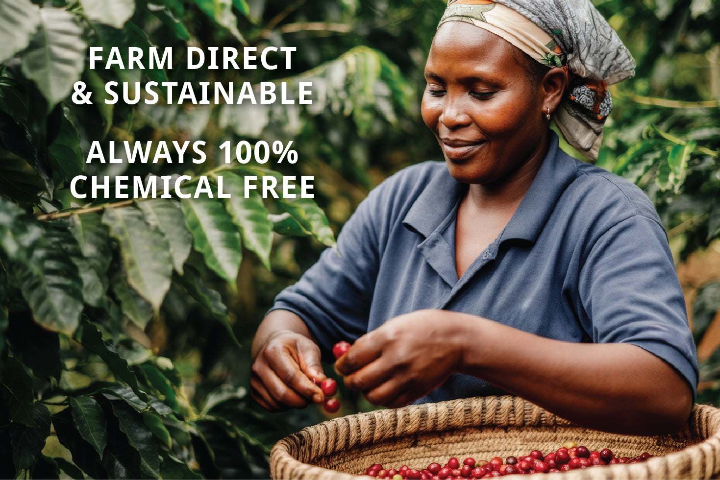 Island Time Coffee Sustainable